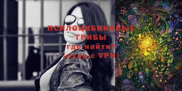 круглые Абаза
