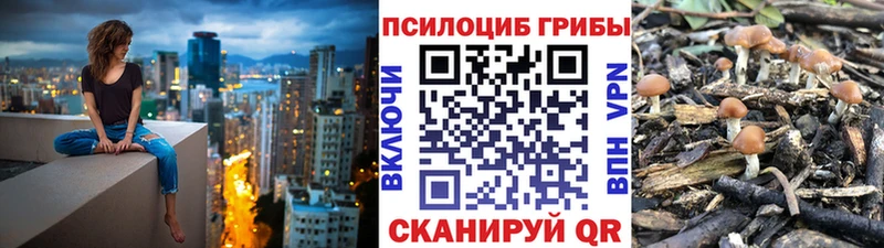 blacksprut как войти цена Ханты-Мансийск Псилоцибиновые грибы мухоморы